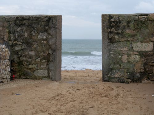 ile de ré 2011 016