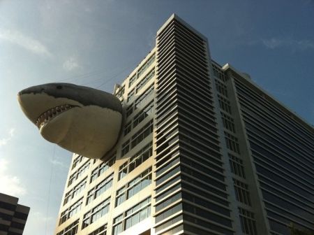 discovery-channel-shark-building4.jpg