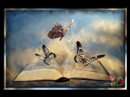 papillons livre