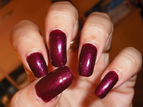 Aubergine-1.jpg