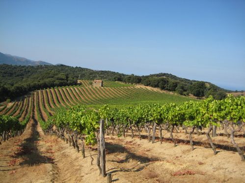 Corse-2008-Jacques-028.jpg