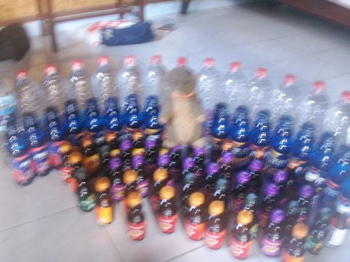PICT0494.jpg