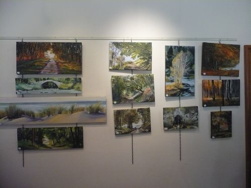 2010-07-09-creully expo Dominique (4)
