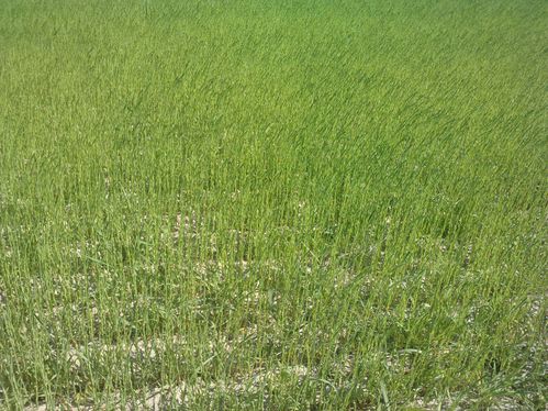 2010-05-22-lin2.JPG