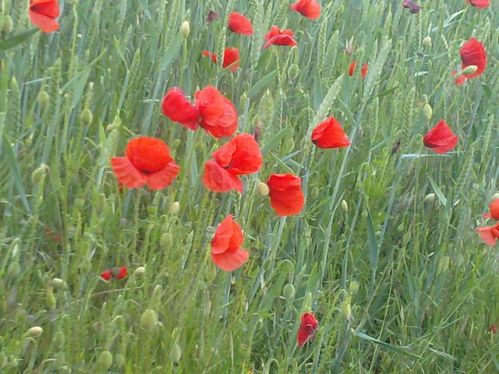 2010-07-06-bord2route