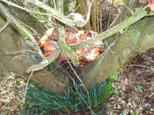 2012-02-29-Galet (36)