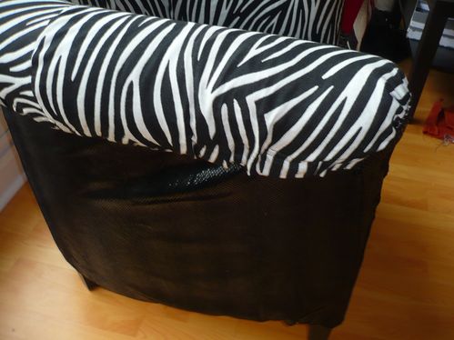 2011-08-Zebre-designé (2)