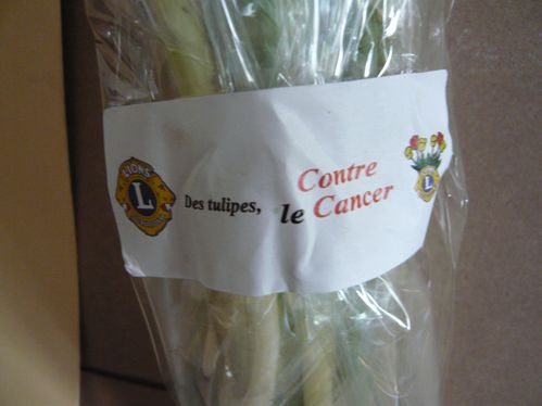 des-tulipes-contre-le-cancer.JPG