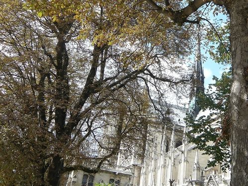 Notre-Dame-de-Paris4---reduc1.JPG