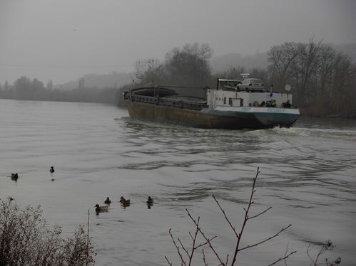 DSCN2291.JPG