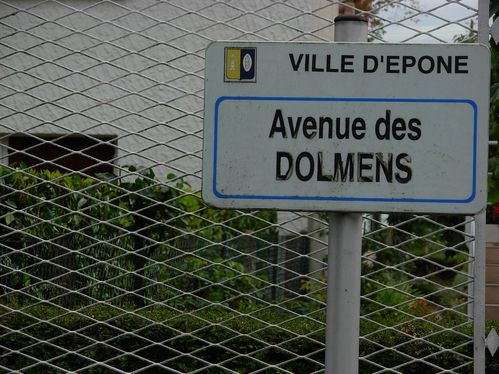 DSCN4665