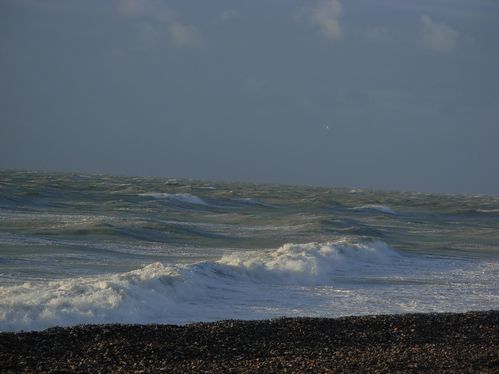 DSCN5685.JPG