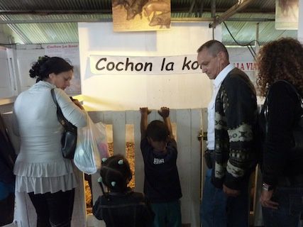 MIel Vert enfants devant Cochons la kour