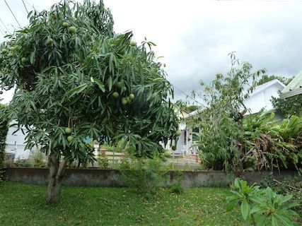 P1150638