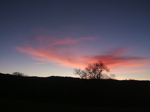 janv(3)2011 021