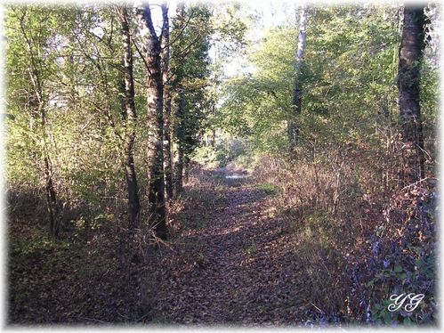 automne01