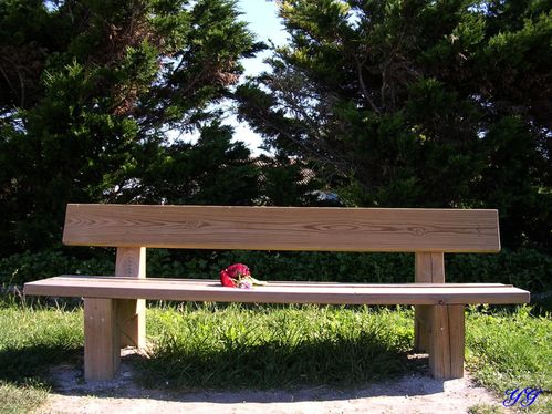 banc-et-rose.jpg