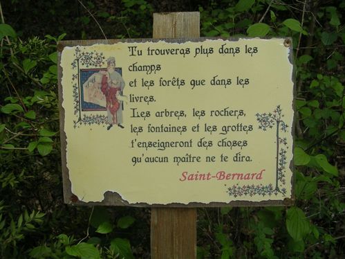 pancarte