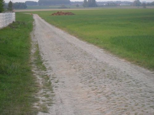 Photo 002