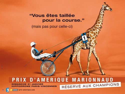 Campagne-du-Prix-dAmerique-Marionnaud-2010-girafe.jpg