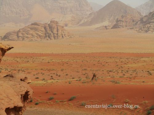 Jordania (Petra y Wadi Rum)2