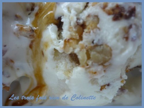 glace-au-yaourt-et-fruits-secs-02.JPG