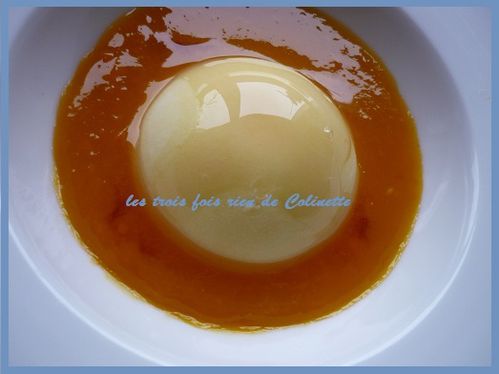glace-au-yaourt-fruits-exotiques.JPG