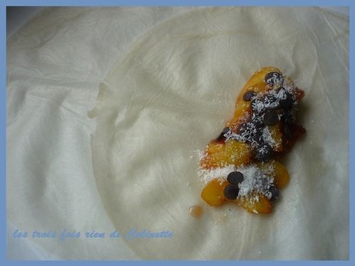 brick-peche-coco-choclolat-02.JPG