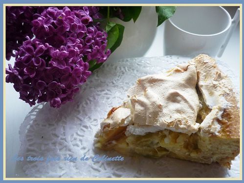 gateau-meringue-a-la-rhubarbe-01.JPG