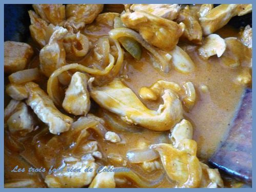 wok-de-poulet-au-curry-de-Madras-01.JPG