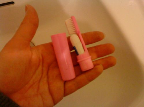brosse à dents de poche