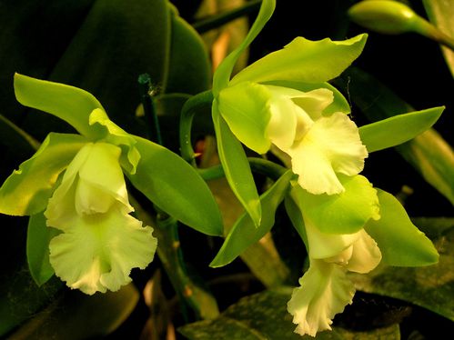 20030101_13.JPG