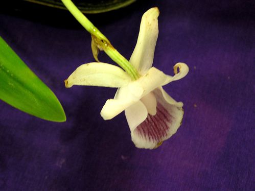 20030101_19.JPG
