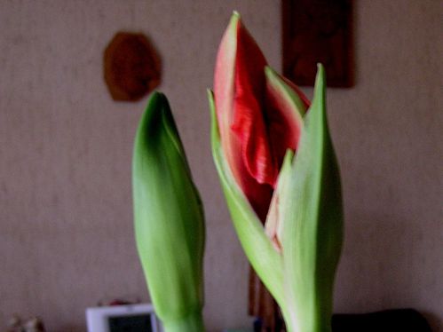 20030101_02.JPG