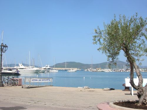 Sardaigne-2012-177.JPG