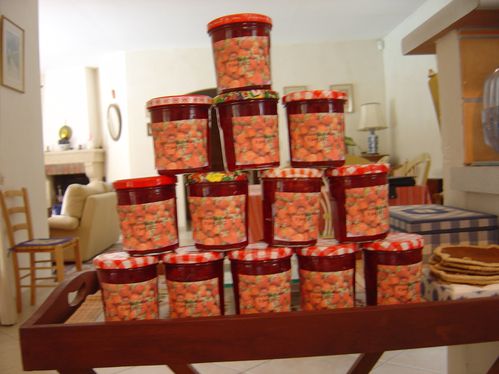 fraises-suite.JPG