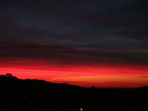DSCN0272
