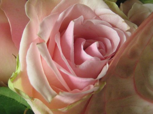 bouquet-003.jpg