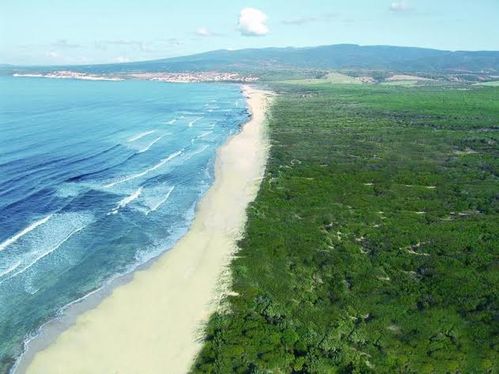 Is Arenas Trail Running 2014 (1^ ed.). Una prima edizione su sentieri tra boschi e spiaggia nello splendido scenario naturale di Is Arenas