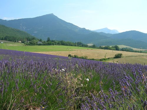 DSCN2436.JPG