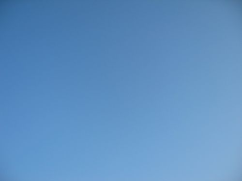 14dec09.JPG
