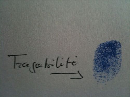 photo-jpg-2.jpg