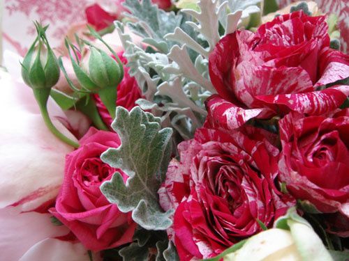 rosettes2