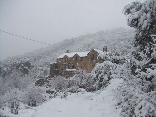 Lisson-neige-janvier-2013.jpg