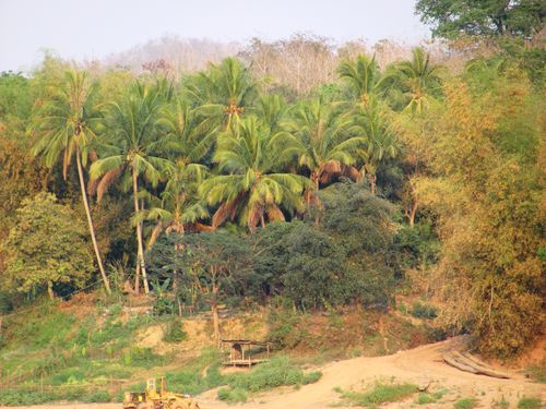 Laos-2011 7382