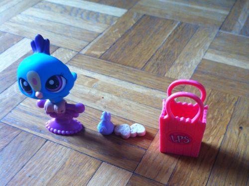 petshop_petitesouris.JPG