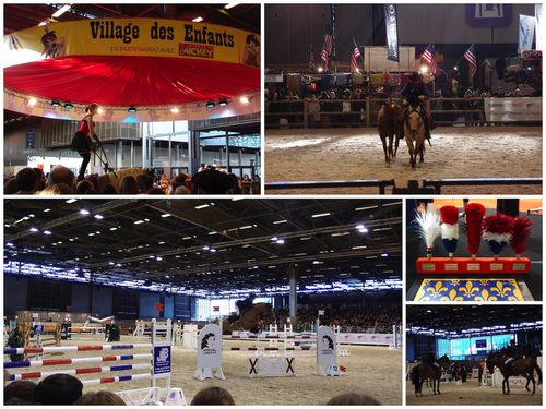 salon_du_cheval_2012_.jpg