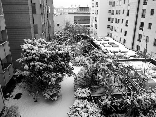 P1195998.JPG