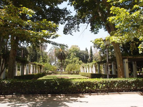Jardins-maria-luisa-Seville.JPG