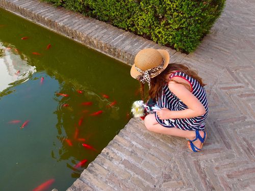 jardins-alcazar-séville-009